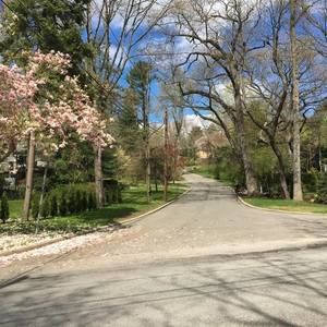 Meet your Posher, Marcela